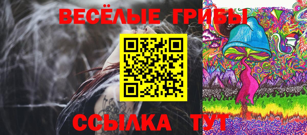 Галлюциногенные грибы Cubensis  Вход с VPN  Трёхгорный 